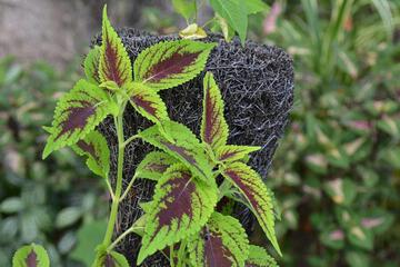 Photo 44