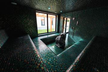 Steam room