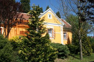 Photo 54