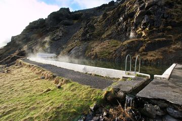 Natural pool