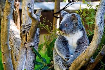 Children's activities