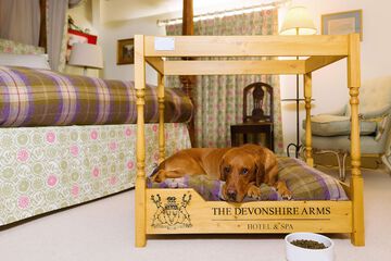 Pet-friendly amenities