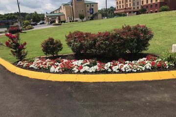 Property Grounds 18 of 18