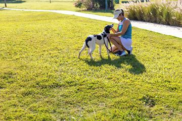 Pet-friendly amenities