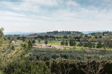 Garden view