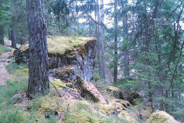 Photo 30