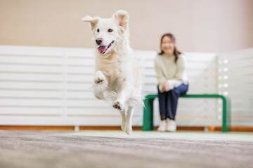Pet-friendly amenities