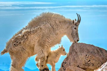 Outdoor rock climbing