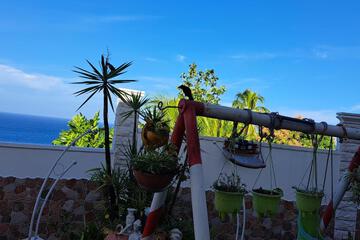 Photo 65