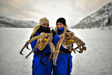 Snowmobiling
