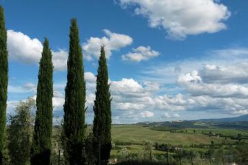Photo 49