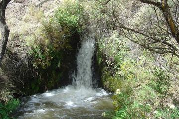 Photo 54