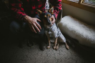 Pet-friendly