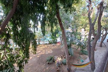 Photo 46