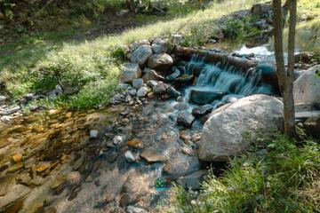 Photo 27
