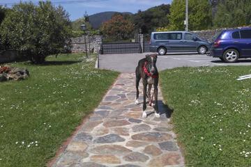 Photo 50