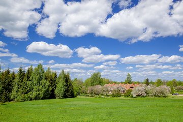 Garden view