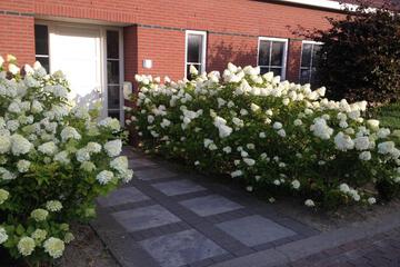 Photo 49