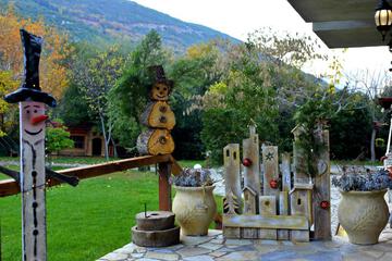Photo 51