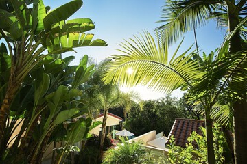 Balcony view
