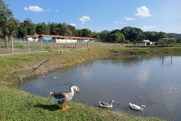 Lake view