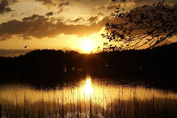Lake