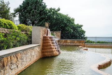 Natural pool