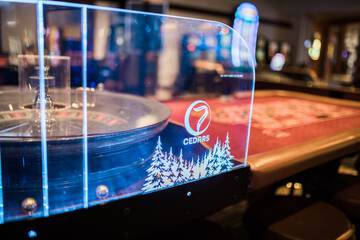 Entertainment 33 of 35