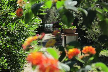 Photo 27