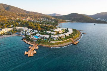 Helicopter/plane tours