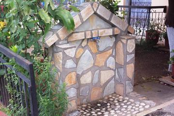 Photo 25