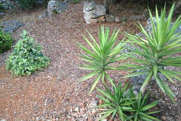 Photo 32