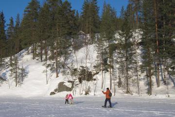 Photo 22