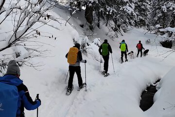 Snowshoeing