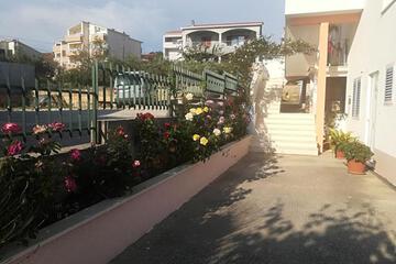 Photo 50