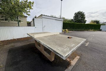 Miscellaneous