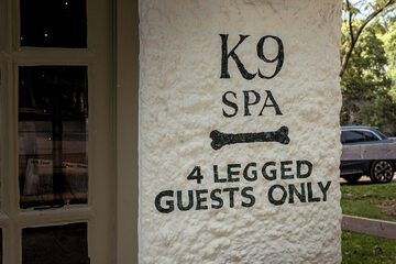 Pet-friendly amenities