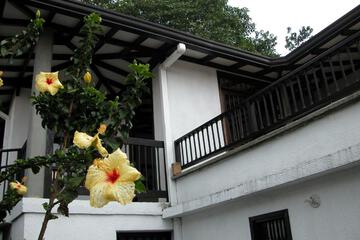 Photo 53