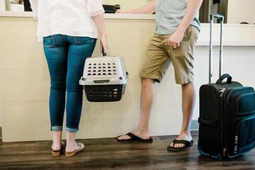 Pet Friendly 34 of 34