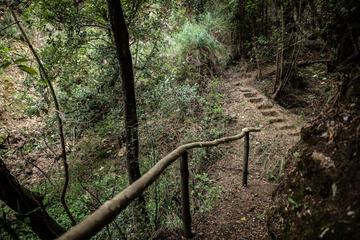 Hiking