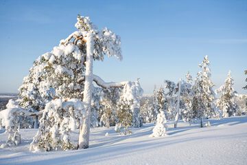 Skiing