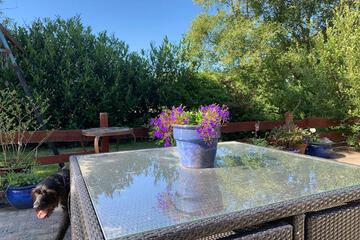 Photo 38