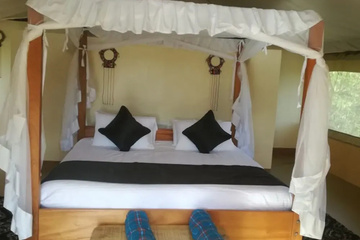 guest_rooms