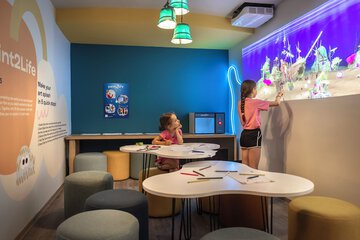 Children's play area - indoor