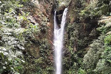 Ecotours