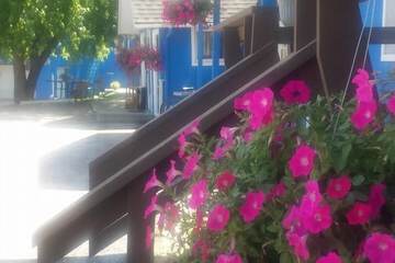 Hotel Exterior 59 of 66