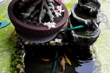Fountain
