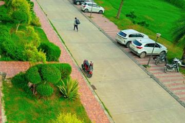 Park view