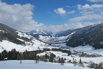 Photo 42