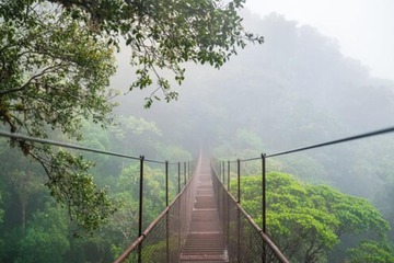 Hiking